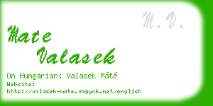 mate valasek business card