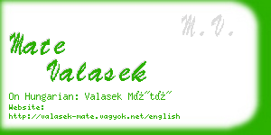 mate valasek business card